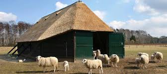 Schaapskooi Ermelo	